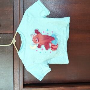 Disney's Turning Red Crop Top